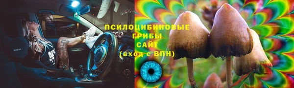 спиды Абаза