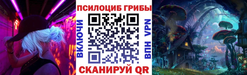 Псилоцибиновые грибы MAGIC MUSHROOMS  купить закладку  Алейск 